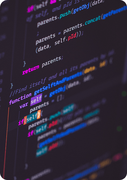 Web Design & Development